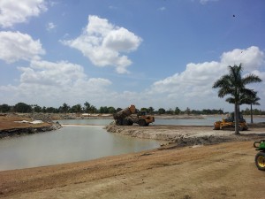 Blue Monster_earthwork1