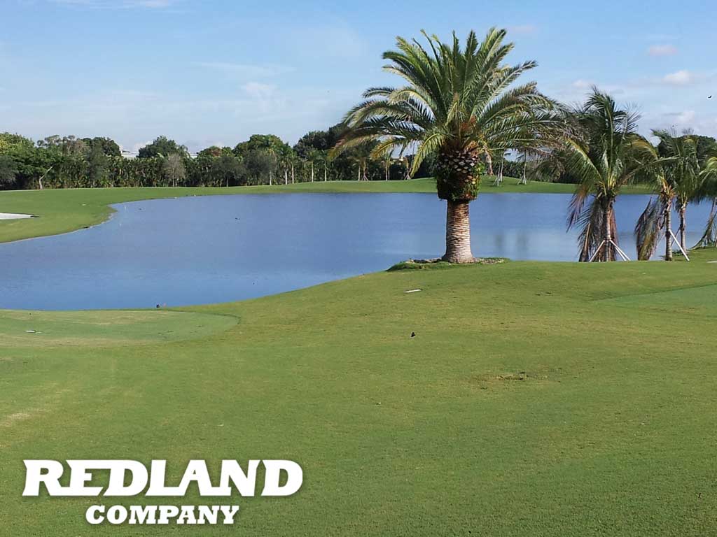 Trump International Blue Monster